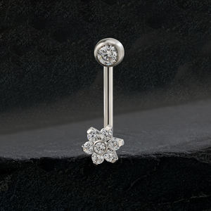 <span class=keywords><strong>Christina</strong></span> Genital <span class=keywords><strong>Piercing</strong></span> joyería CZ flor ASTM F136 titanio íntimo VCH Barbell moda mujer accesorios cuerpo joyería - Product Image 2