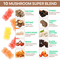 Acentiallabs Mélange de champignons tout-en-un, supplément nootropique pour le cerveau, gommes aux champignons avec Ashwagandha pour la mémoire et le soutien immunitaire