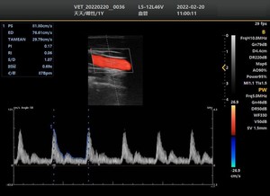 Appareil d'échographie Doppler couleur vétérinaire approuvé CE et à haute performance, scanner d'échographie clinique pour vétérinaires - Product Image 3