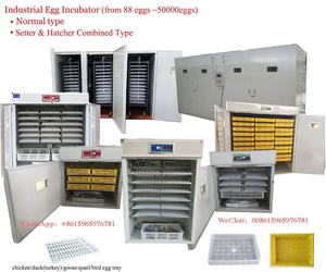 高い孵化率6000卵 + インキュベーターHS-6336インキュベーター孵化鶏卵インキュベーター - Product Image 5