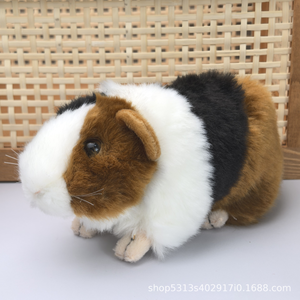 Conejillo <span class=keywords><strong>DE</strong></span> INDIAS juguetes <span class=keywords><strong>de</strong></span> peluche simulación juguetes <span class=keywords><strong>de</strong></span> animales salvajes muñeca <span class=keywords><strong>Vida</strong></span> Marina Cavy hámster juguetes <span class=keywords><strong>de</strong></span> peluche almohada - Product Image 5