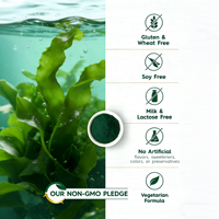 Comprimés de spiruline pure, algues bleues vertes, antioxydant pour adultes, stimulant immunitaire, non-OGM