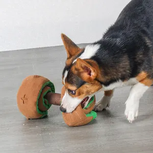 Grosir Mainan Puzzle Hewan Peliharaan Pelatihan Olahraga Makanan Tibet Mainan Kucing Bermain Mainan Dumbbell Anjing Peliharaan