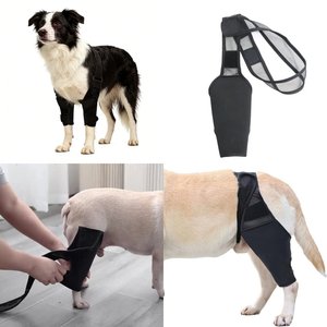 Soporte ajustable y transpirable para rodilla de perro, soporte duradero para pata de perro, soporte para espinilla de perro para caminar, correr y hacer senderismo al aire libre. - Product Image 1