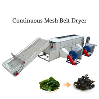 Topverkopers Automatische Elektrische Verwarmings-Meshbanddroogmachine voor Kelp, Kardemom, Tomaten, Rode Dadels & Kurkuma