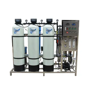 Endüstriyel su arıtma sistemi 750LPH RO ters osmoz arıtma makinesi içme
