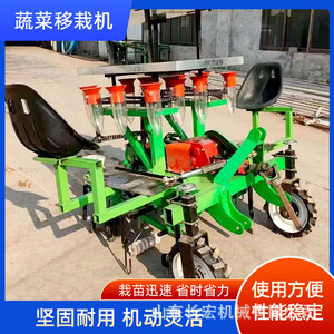 Trasplantadora Mecánica de Conducción a Pie Shandong Changhong de 6 Filas para Trasplante Automático de Plántulas de Hortalizas y Frutas en Invernadero Abierto - Product Image 5