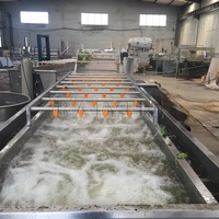 Appel- en peerreinigingsmachine met bubbels, groente- en fruitdroogmachine met bubbels
