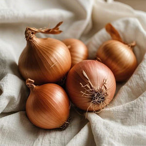 Oignon jaune biologique 3-6cm Légume frais Produit d'exportation en gros issu de l'agriculture biologique du Shandong 10kg/sac - Product Image 5