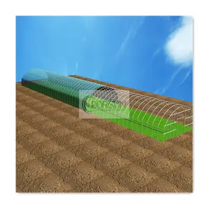 Commercial Industrial Other Greenhouses Single Span High Tunnel Tomato Plastic Agricultural Greenhouse