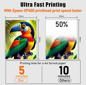 Horno de Impresión DTF Multicolor para Camisetas, Máquina de Impresión Textil, en Oferta - Product Image 4