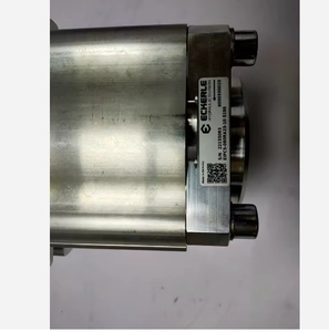 Pompe à engrenages interne haute performance EIPC EIPC3 EIPC5 EIPC6 EIPC6-125RA23-11, Pompe hydraulique EIPC3-063RA26-10, Eckerle EIPC5-080RA23-10 EIPC6 G - Product Image 2