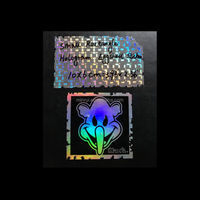Grosir stiker cangkang telur Hologram grafiti vinil penggunaan satu kali Hologram