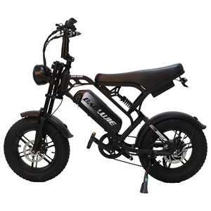 新趋势 500W 儿童小型电动自行车 电动越野车 电动电池自行车 48V13Ah 迷你 16 英寸电动城市运动自行车 - Product Image 2