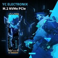YC ELECTRONIX USB Type-C 3.0 RGB LED 2GB Portable NVMe M.2 Hard Drive Eksternal Baru untuk Laptop
