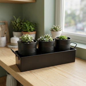 Minimalist Eco-Friendly Lightweight Metal Planters Set 3 <b>Pots</b> Tray <b>for</b> Indoor Succulents Green Plants Desktop Use Powder Coated - Product Image 4