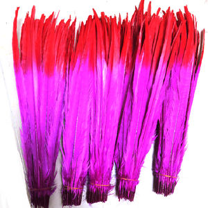 Plumes <span class=keywords><strong>de</strong></span> Faisan à Col Anneau Bicolores <span class=keywords><strong>de</strong></span> 16-18 Pouces pour Costumes <span class=keywords><strong>de</strong></span> <span class=keywords><strong>Carnaval</strong></span> <span class=keywords><strong>de</strong></span> Trinité 2025 – Fournitures <span class=keywords><strong>de</strong></span> Plumes Décoratives - Product Image 1