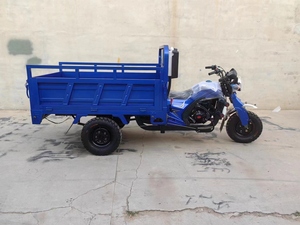 Moteur refroidi à l'eau <span class=keywords><strong>250cc</strong></span> Tricycle à essence à trois roues pour adulte moto motorisée <span class=keywords><strong>250cc</strong></span> déplacement 500kg poids à vide - Product Image 5
