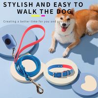 Kleine Wasserdichte PVC-Hundetrainingsleine mit Nieten-Dekoration, Individuelles Logo, Umweltfreundlich, 26 Farben, Langlebiges Spleißdesign, Nimble Marke