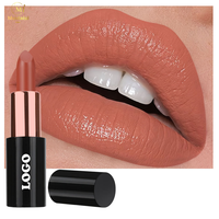 Kit de rouge à lèvres hydratant personnalisé de marque privée étanche longue durée tasse antiadhésive lèvres maquillage rouge à lèvres mat avec minéraux