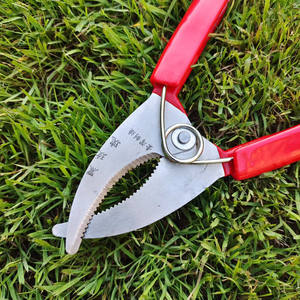 Sécateur à double lame Black Rose en acier inoxydable, outil de taille manuel pour arbres fruitiers, manche rouge - Product Image 2