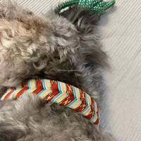 Collier pour chien tressé artisanal de qualité supérieure, design élégant, collier recouvert de PVC pour chiots