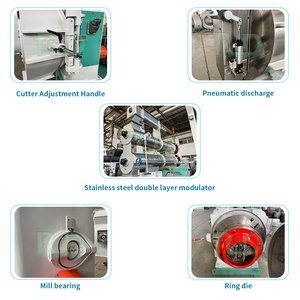 Nouvelle Presse à granulés à anneau moderne en acier inoxydable de grande capacité et haute productivité pour l'alimentation des animaux aquacoles et avicoles 2 tonnes/h - Product Image 2