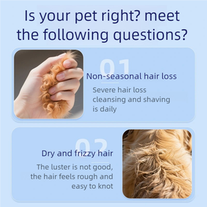 Integratori per animali domestici salmone mastica OEM cura del gatto per animali domestici salute salmone Meimao granuli morbidi omega 3 integratori cani - Product Image 2