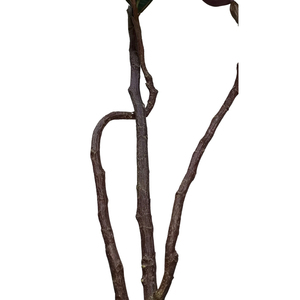 OH ARTS - Planta Artificial de Ficus de Lujo, Bonsái Moderno de Hierba con Material de Tela de Seda Metálica <span class=keywords><strong>para</strong></span> Decoración Navideña - Product Image 4