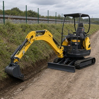 Mini-excavatrice 1 tonne à chenilles, prix abordable, livraison gratuite, de fabricants chinois, à vendre