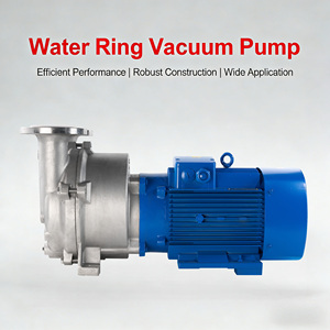 Pompe à vide industrielle à circulation d'eau haute performance 2BV2060, compresseur à anneau pour le traitement des eaux usées - Product Image 1
