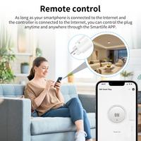 Prise Intelligente Wi-Fi Tuya Personnalisée avec Logo, 16A/20A, Compatible Alexa et Google Home, Contrôle Vocal, Moniteur d'Énergie et Minuteur