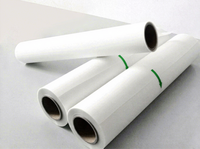 Offre Spéciale – Film de Transfert Thermique DTF Double Face en PET de 60 cm de Large, Encre Réfléchissante, Impression A3/A4 pour Textiles Froids et Vêtements