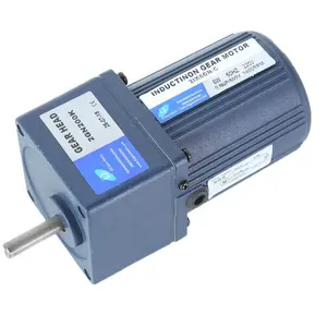 Compact Size Eenfase 110V 220V Ac Reductiemotor