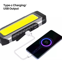 Lampe torche LED de camping en plastique ABS rechargeable USB pour jardin extérieur Lampes de poche de travail