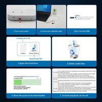 Module sonore en plastique téléchargeable et enregistrable par USB, haut-parleur personnalisé pour jouet en peluche DIY, boîte à son pour cadeau