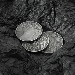 Moneda de desafío de Metal de gato de seta de plata con pistola en relieve personalizada - Product Image 5