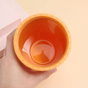 Wholesale Leak-proof Double Wall 16oz 24oz Plastic Water <b>Bottle</b> with Straw for Car Travel Gym Camping Office School - Product Image 4