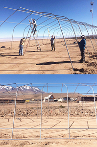 Invernadero de un solo tramo de túnel alto para agricultura invernadero de plástico PE de gran tamaño para cultivo de verduras - Product Image 6