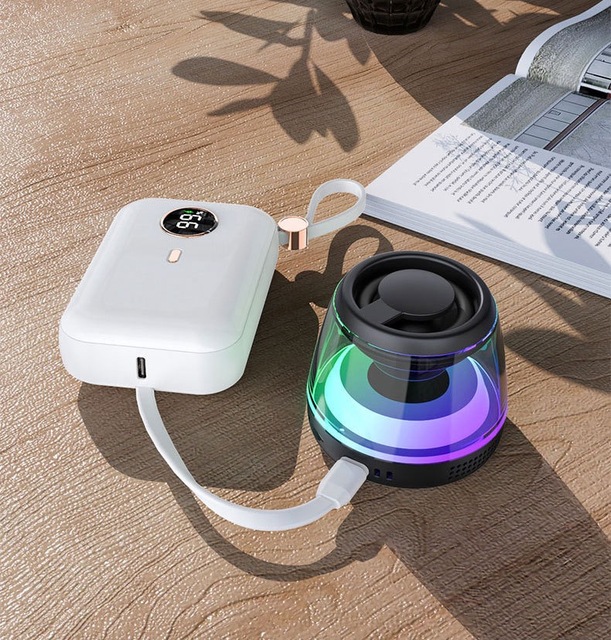 Portable BT Speaker 5.3 TWS Stereo RGB LED Light Transparent Cyber Shell 40mm Driver 5W 600mAh for Outdoor Party Gift Wholesale