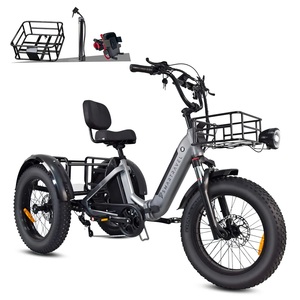 EcoRider 750W Fat Tire Electric Tricycle for Adults 48V Lithium Battery 3 Wheel E Bike Cargo Elderly <strong>Mobility</strong> <strong>Trike</strong> CE OEM - Product Image 2