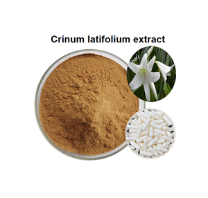 थोक मूल्य संयंत्र में क्रोनम लैटिफोलियम अर्क - Product Image 3
