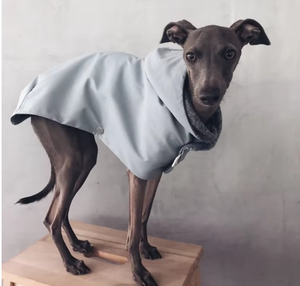 Fabricant <span class=keywords><strong>de</strong></span> vêtements <span class=keywords><strong>pour</strong></span> animaux <span class=keywords><strong>de</strong></span> compagnie design <span class=keywords><strong>de</strong></span> mode personnalisé imperméable et coupe-vent <span class=keywords><strong>pour</strong></span> chien - Product Image 6