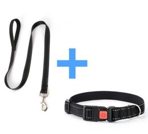 Ensemble de colliers et laisses réfléchissants pour chiens, avec verrou de sécurité, poignée en néoprène souple, ensemble de colliers de plomb en Nylon respirant, kit pour animaux de compagnie pour chiens - Product Image 5