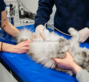 Mesin <span class=keywords><strong>Ultrasound</strong></span> Genggam Nirkabel 3 in 1 Warna Hitam-Putih untuk Klinik Hewan - Product Image 2