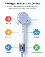 Haute puissance 110000 tr/min sèche-cheveux électrique ionique ménage ions négatifs soins des cheveux sèche-cheveux pour salon à domicile utilisation RV personnalisable