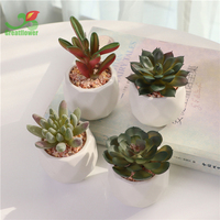 Pot en céramique blanche, plantes succulentes artificielles en plastique, mini paysage de table, décorations pour la maison et le balcon
