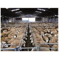 Toiture étanche de meilleure qualité Abri pour animaux Abri pour moutons Tente pour bétail Tente dôme