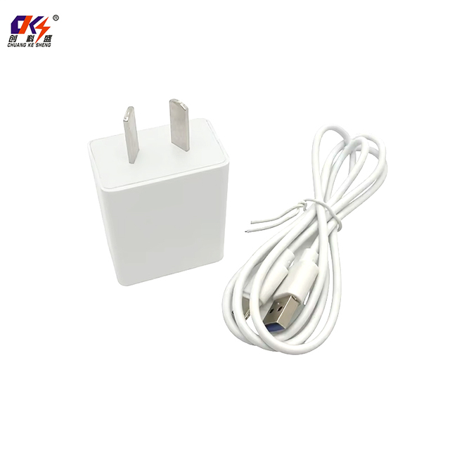 5V 2A 2000mA Custom Logo AR Plug Charger USB Charging Adapter AC/DC Adaptador with USB to Type-C Cable for Camera 10W Argentina