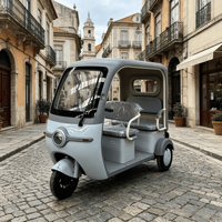Tricycle de loisirs au design moderne avec moteur électrique sans balais, frein à disque, cabine fermée avec toit, batterie au lithium amovible 60V